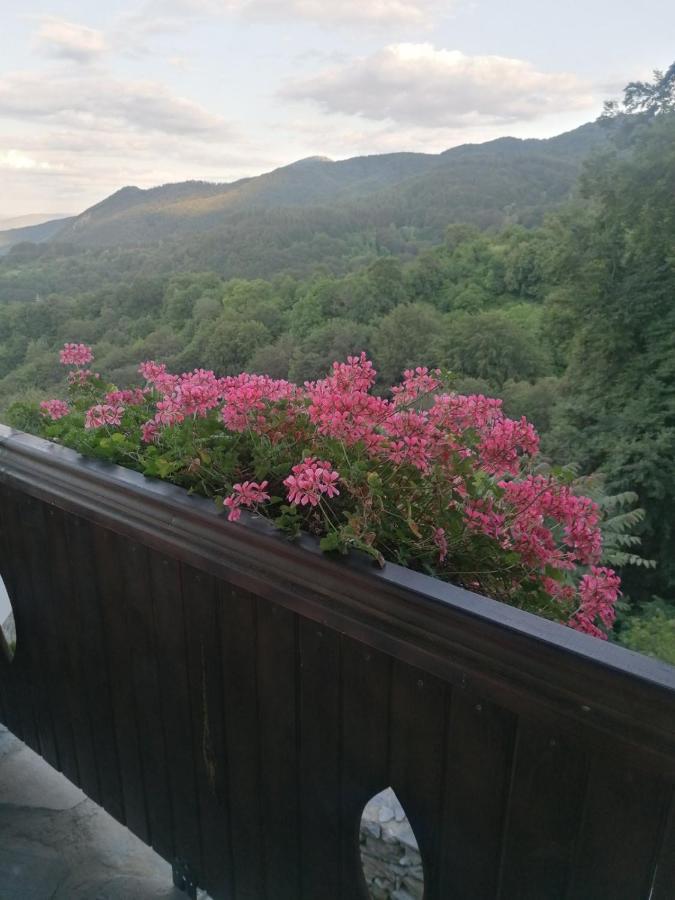 Yancheva Guest House Delchevo Exterior foto